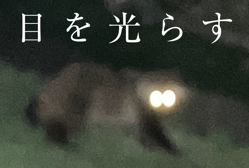 活気のある会社