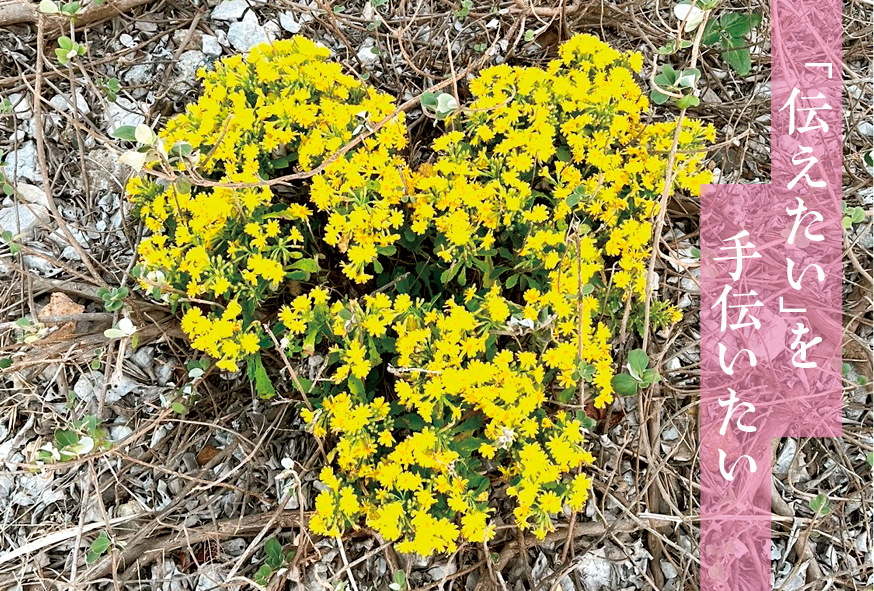 活気のある会社