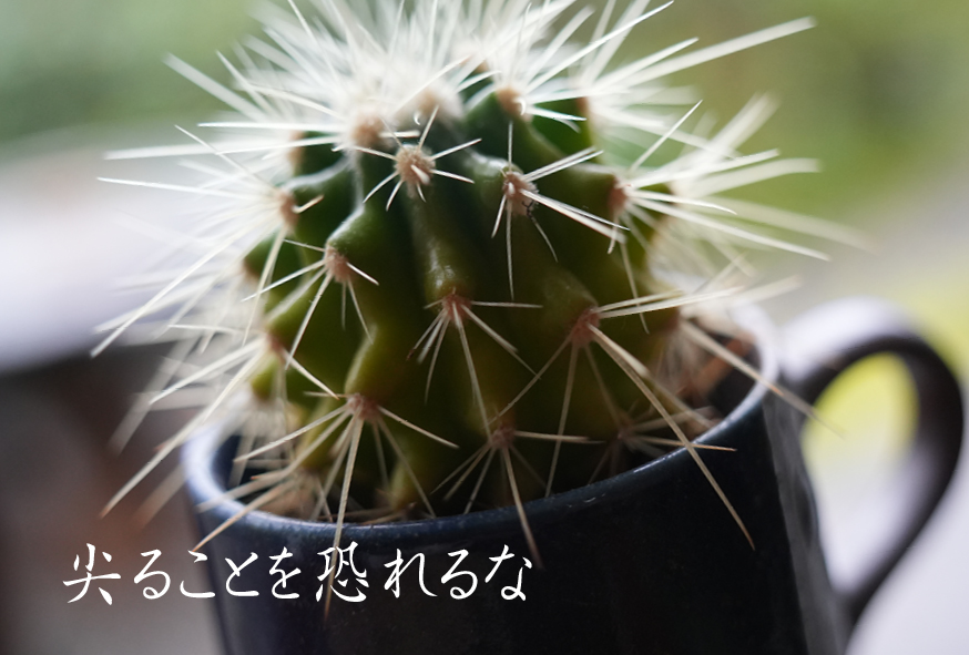 活気のある会社