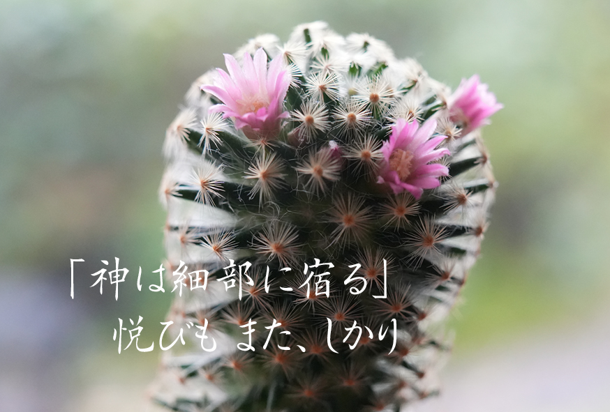 活気のある会社